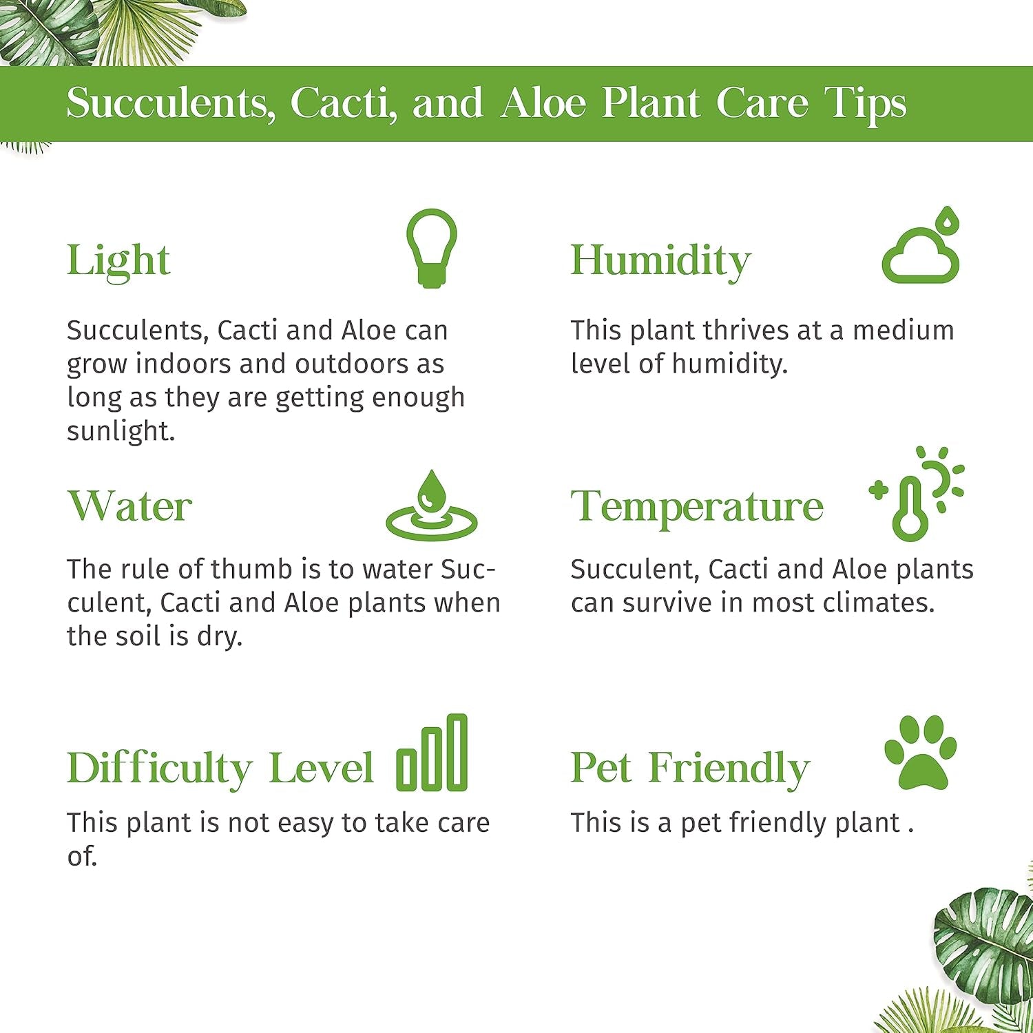 Aloe Vera Live Plant for Indoor | Different Houseplants in 4'' & 6'' Pot | Real House Plant for Living Room, Office, Desk & Bathroom