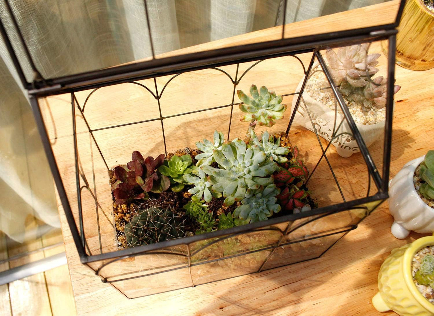 Glass Geometric Plant Terrarium,Succulent & Air Planter for Home Garden Office Decoration (Black House)