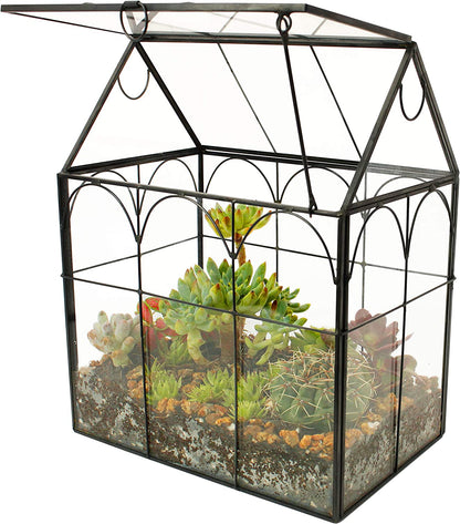 Glass Geometric Plant Terrarium,Succulent & Air Planter for Home Garden Office Decoration (Black House)